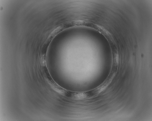 X0000073530383200607311255
