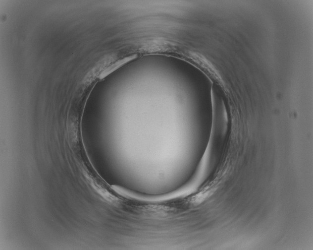 X0000073530393200607311254