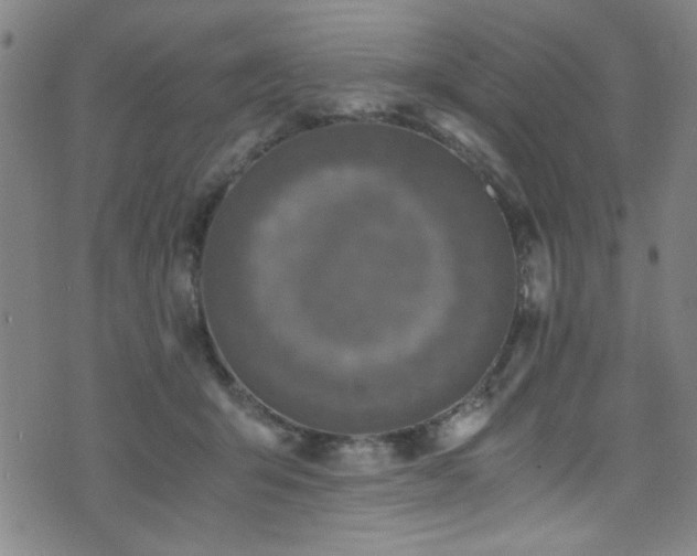 X0000073530415200607311254