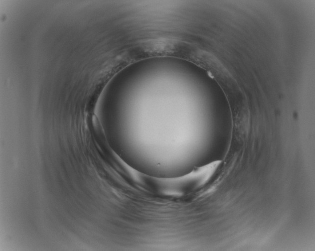 X0000073530416200607311254