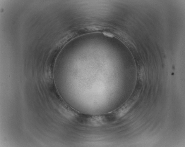 X0000073530418200607311254