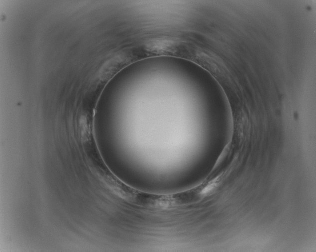 X0000073530420200607311254