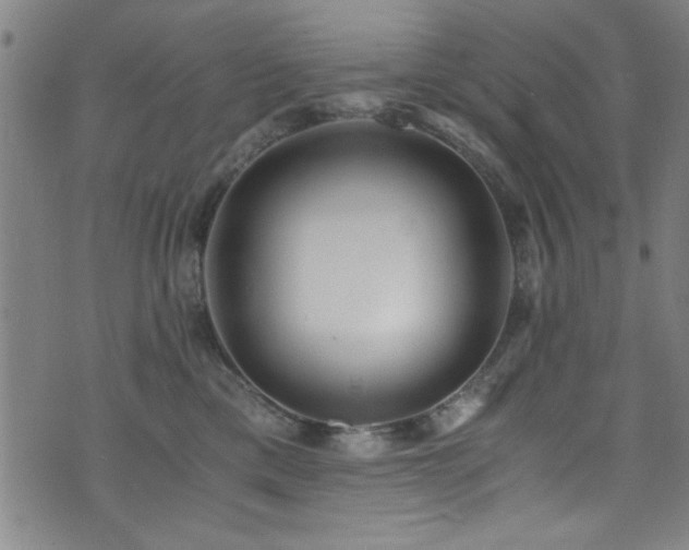 X0000073530425200607311254