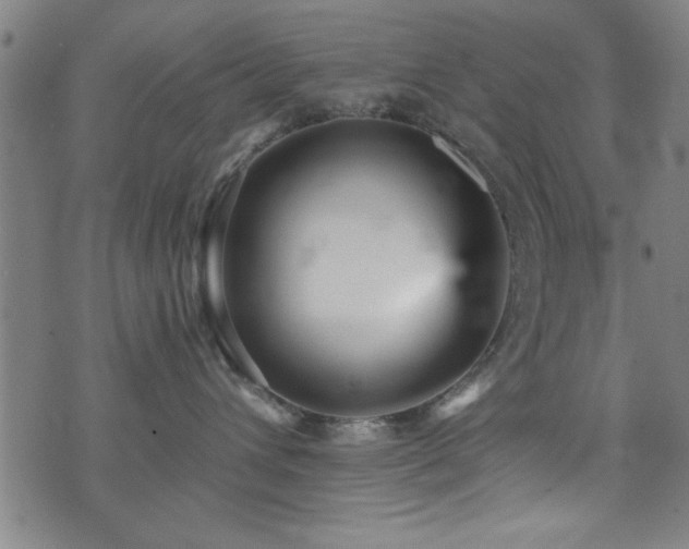 X0000073530432200607311254