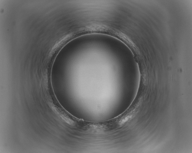 X0000073530442200607311253
