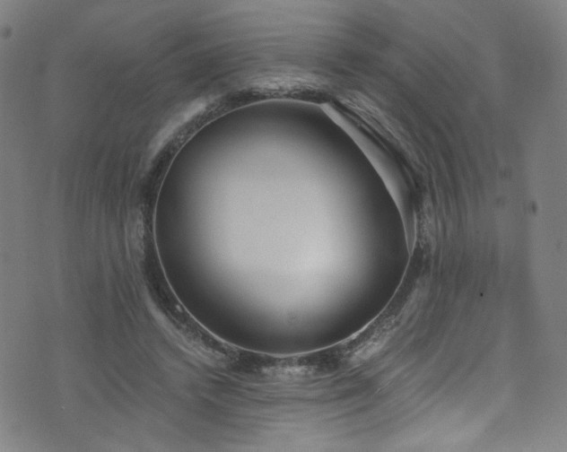 X0000073530448200607311253