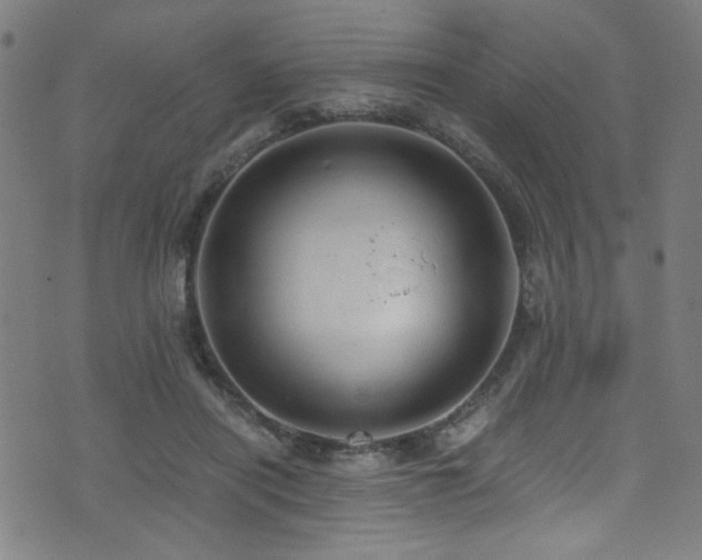 X0000073530454200607311253