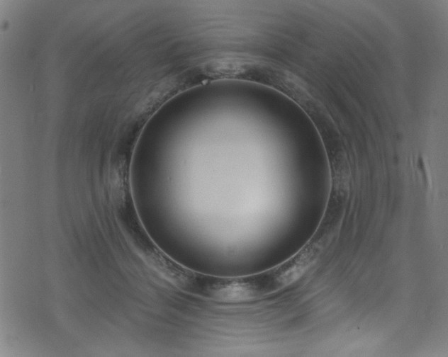 X0000073530460200607311253