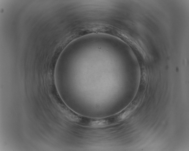 X0000073530461200607311253