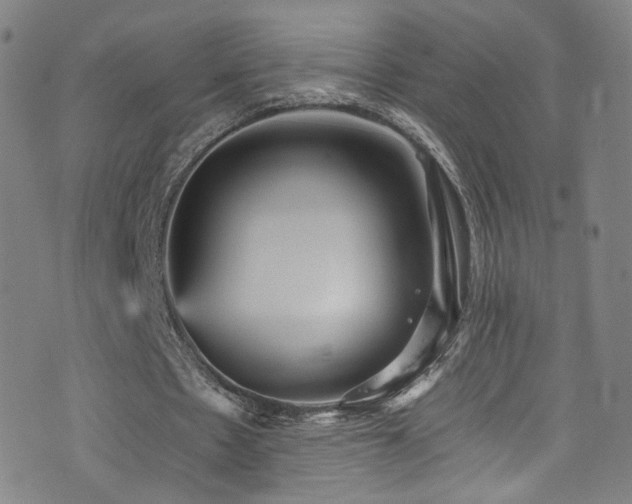X0000073530481200607311253