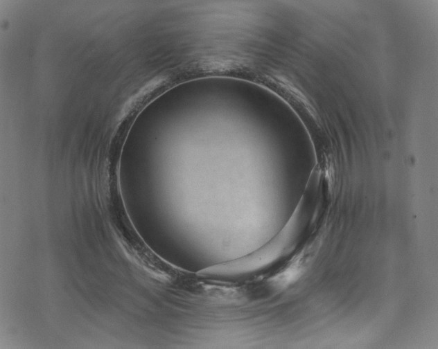 X0000073530492200607311253