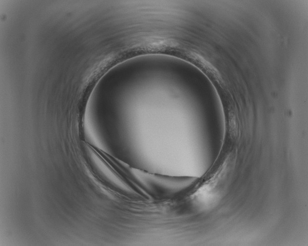 X0000073530493200607311253