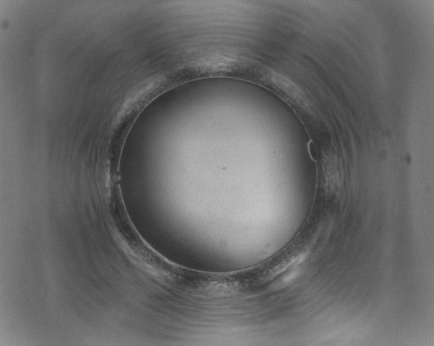 X0000073530494200607311253