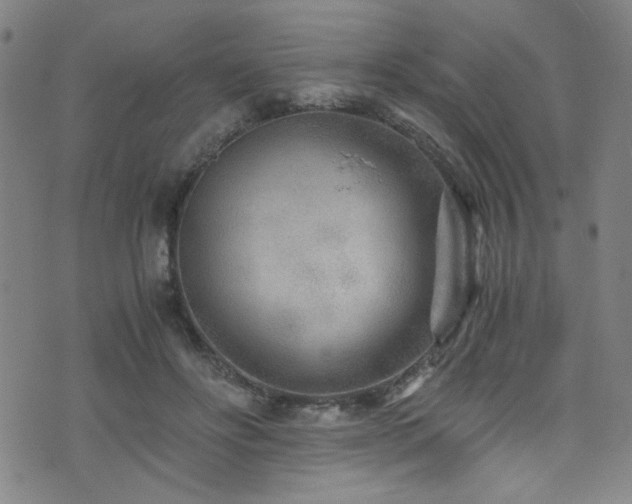 X0000073530502200607311253