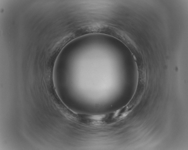 X0000073530505200607311253