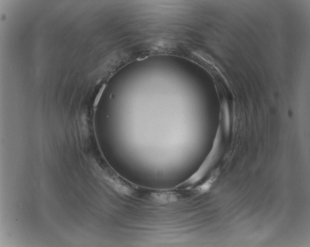 X0000073530520200607311252