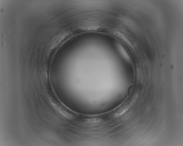 X0000073530541200607311252