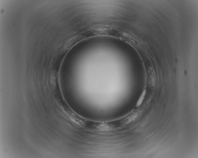X0000073530562200607311252