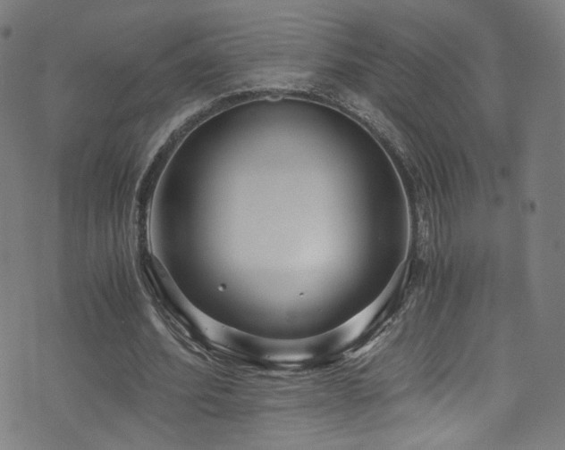 X0000073530580200607311251