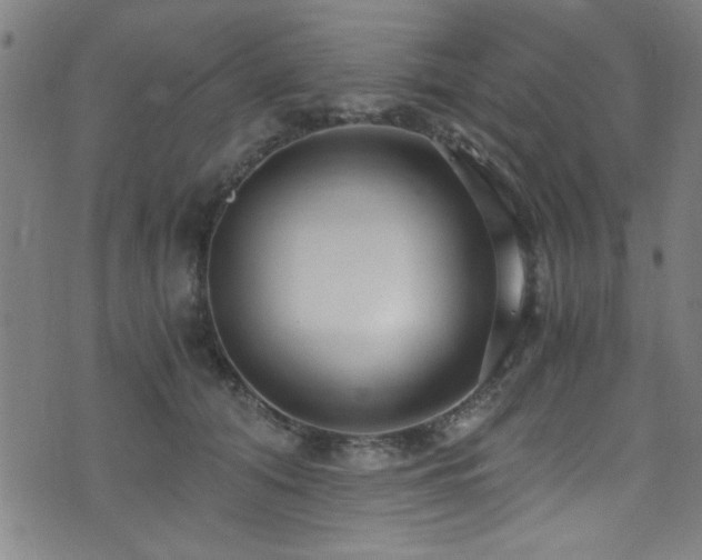 X0000073530608200607311251
