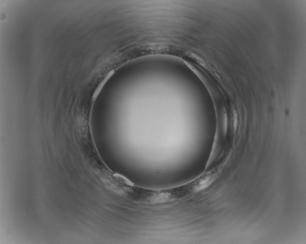 X0000073530609200607311251