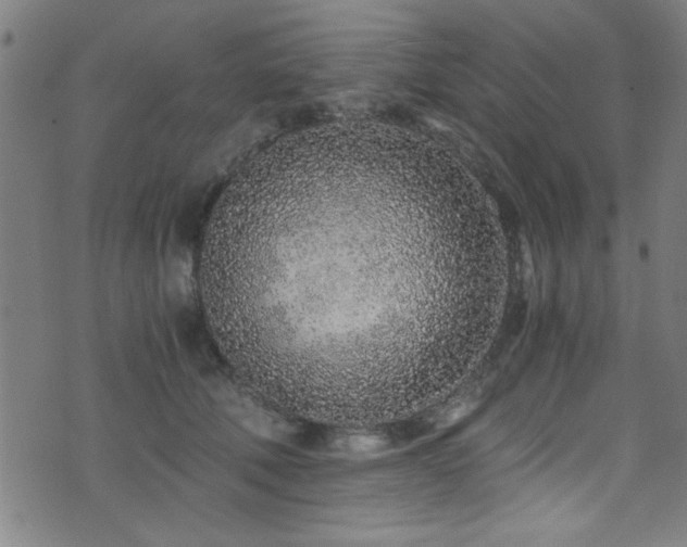 X0000073530610200607311251