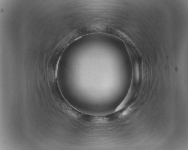 X0000073530617200607311251