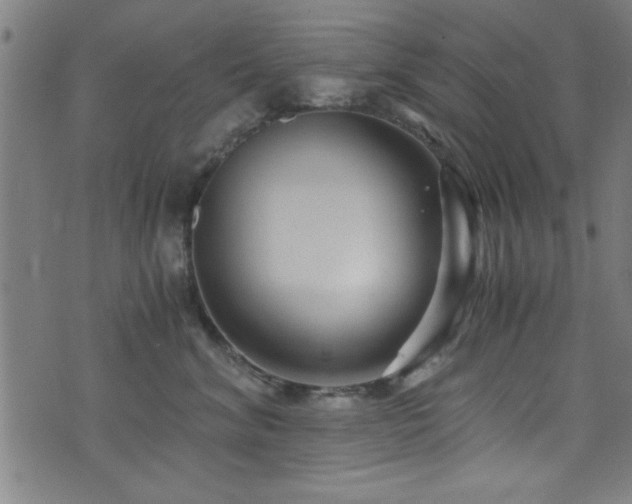 X0000073530620200607311251