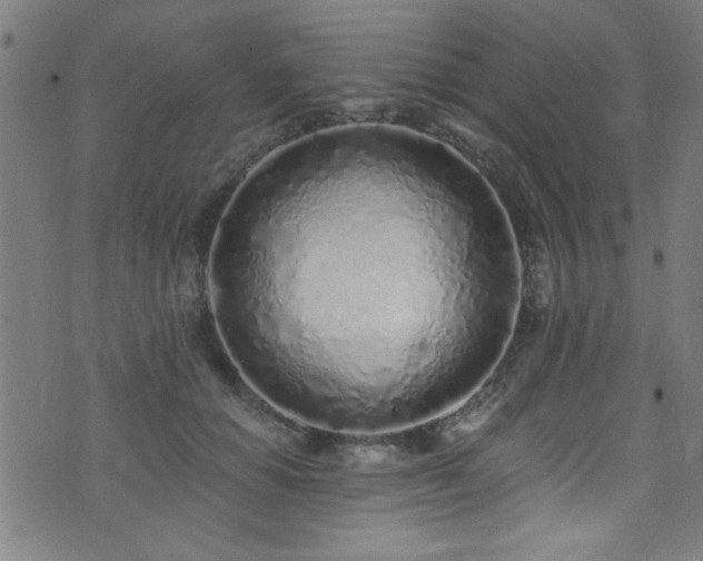 X0000073530654200607311250