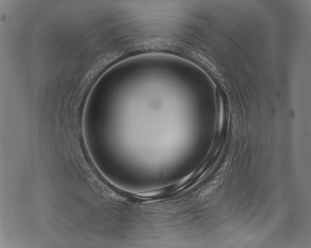 X0000073530673200607311250