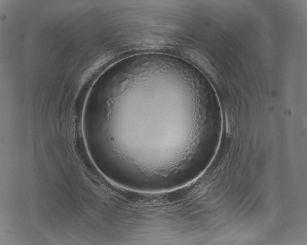 X0000073530675200607311250