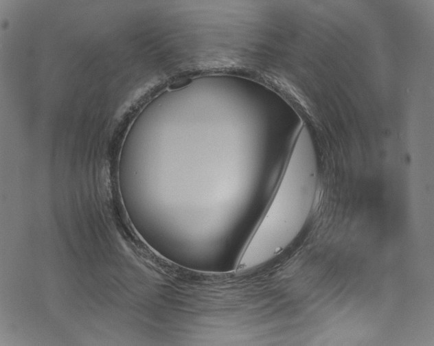 X0000073530684200607311250