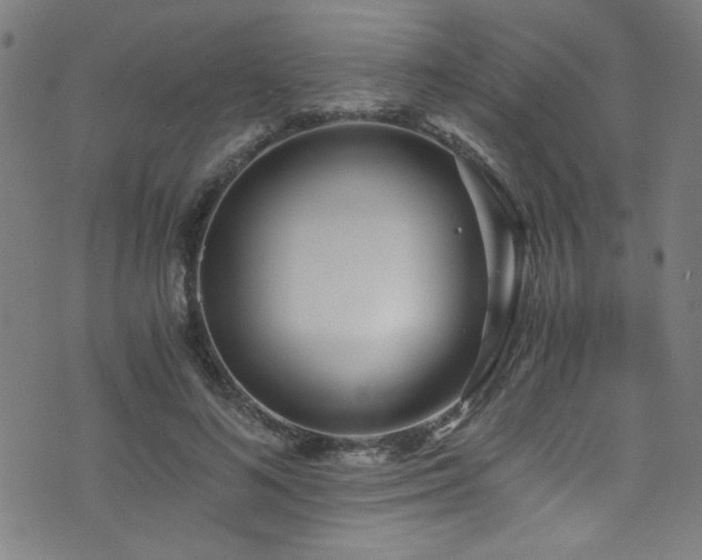 X0000073530692200607311249