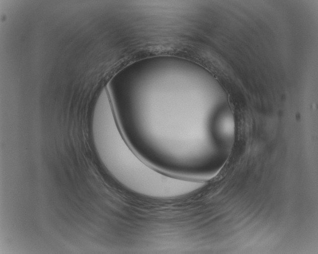X0000073530700200607311249