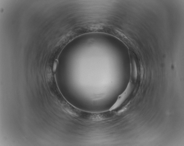 X0000073530704200607311249