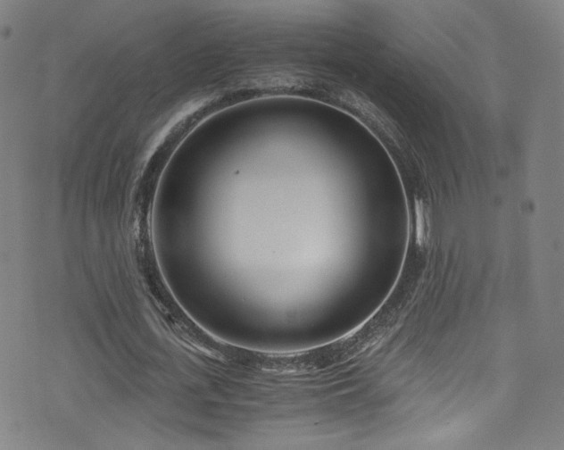 X0000073530723200607311248