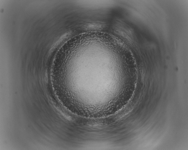 X0000073530729200607311248