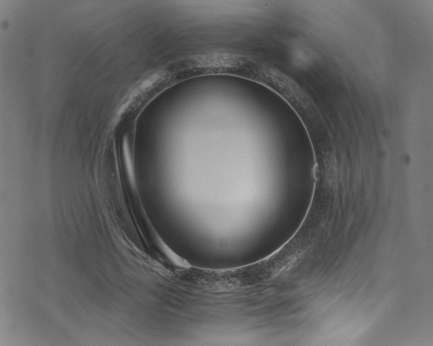 X0000073530731200607311248