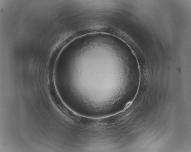 X0000073530734200607311248