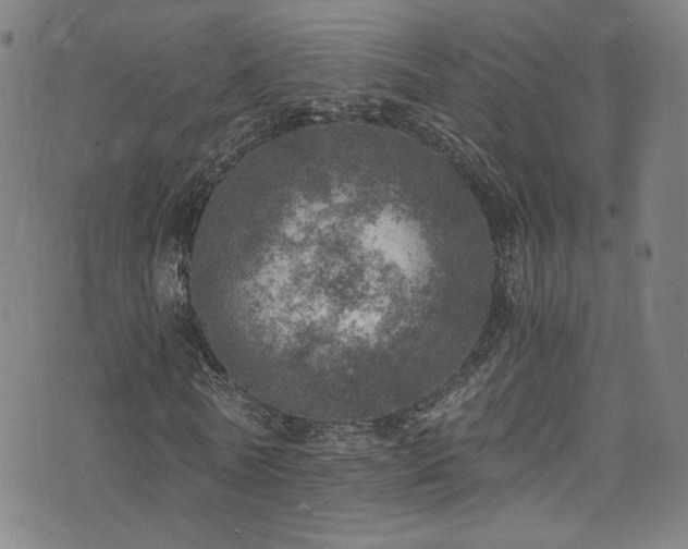 X0000073530770200607311248