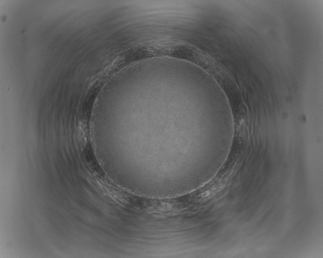 X0000073530772200607311248