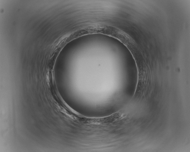 X0000073530773200607311248