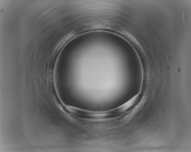 X0000073530793200607311248