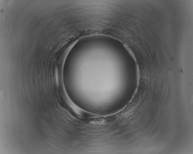 X0000073530818200607311247