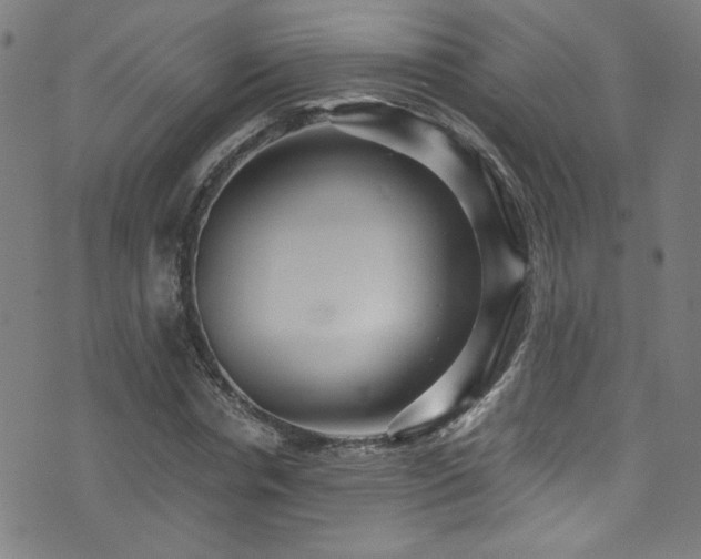 X0000073530826200607311247