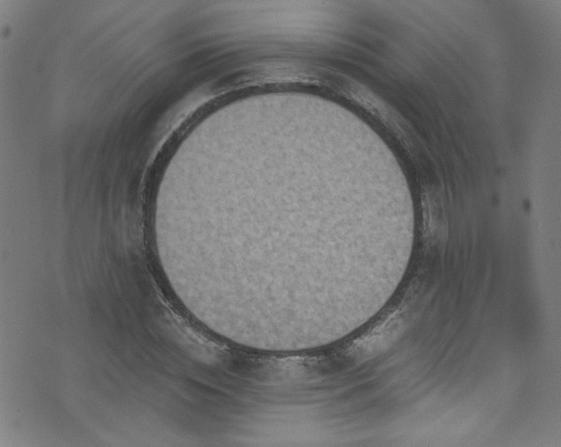 X0000073530828200607311247