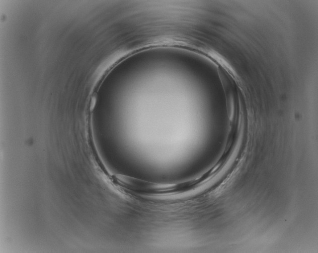 X0000073530854200607311247
