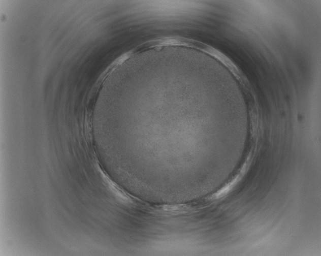 X0000073530857200607311247