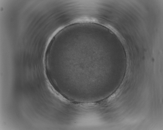 X0000073530864200607311247
