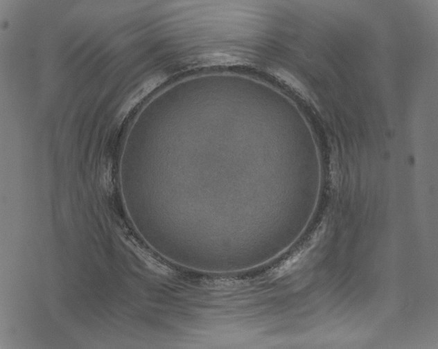 X0000073530873200607311246